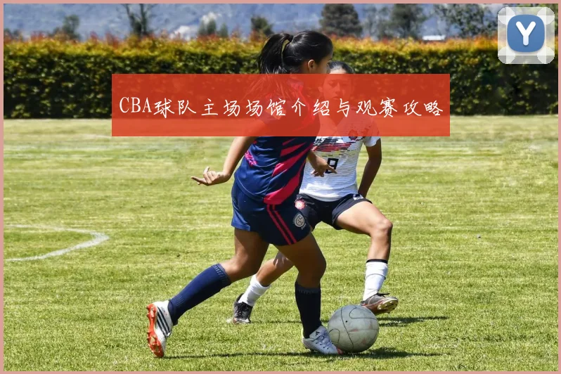 CBA球队主场场馆介绍与观赛攻略