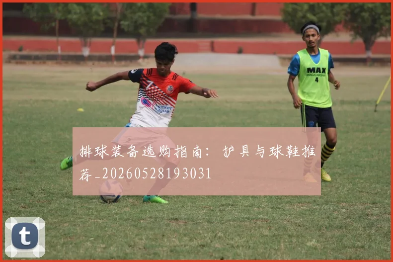 排球装备选购指南：护具与球鞋推荐_20260528193031