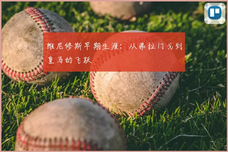 维尼修斯早期生涯:从弗拉门戈到皇马的飞跃