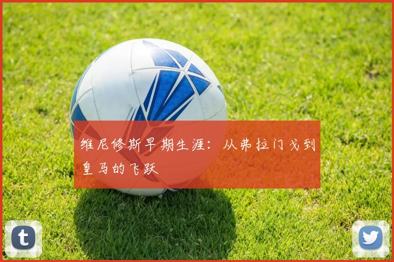 维尼修斯早期生涯：从弗拉门戈到皇马的飞跃
