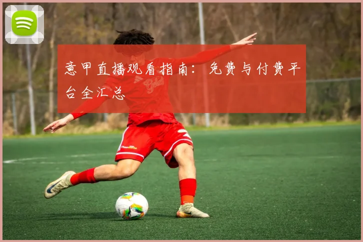 意甲直播观看指南:免费与付费平台全汇总